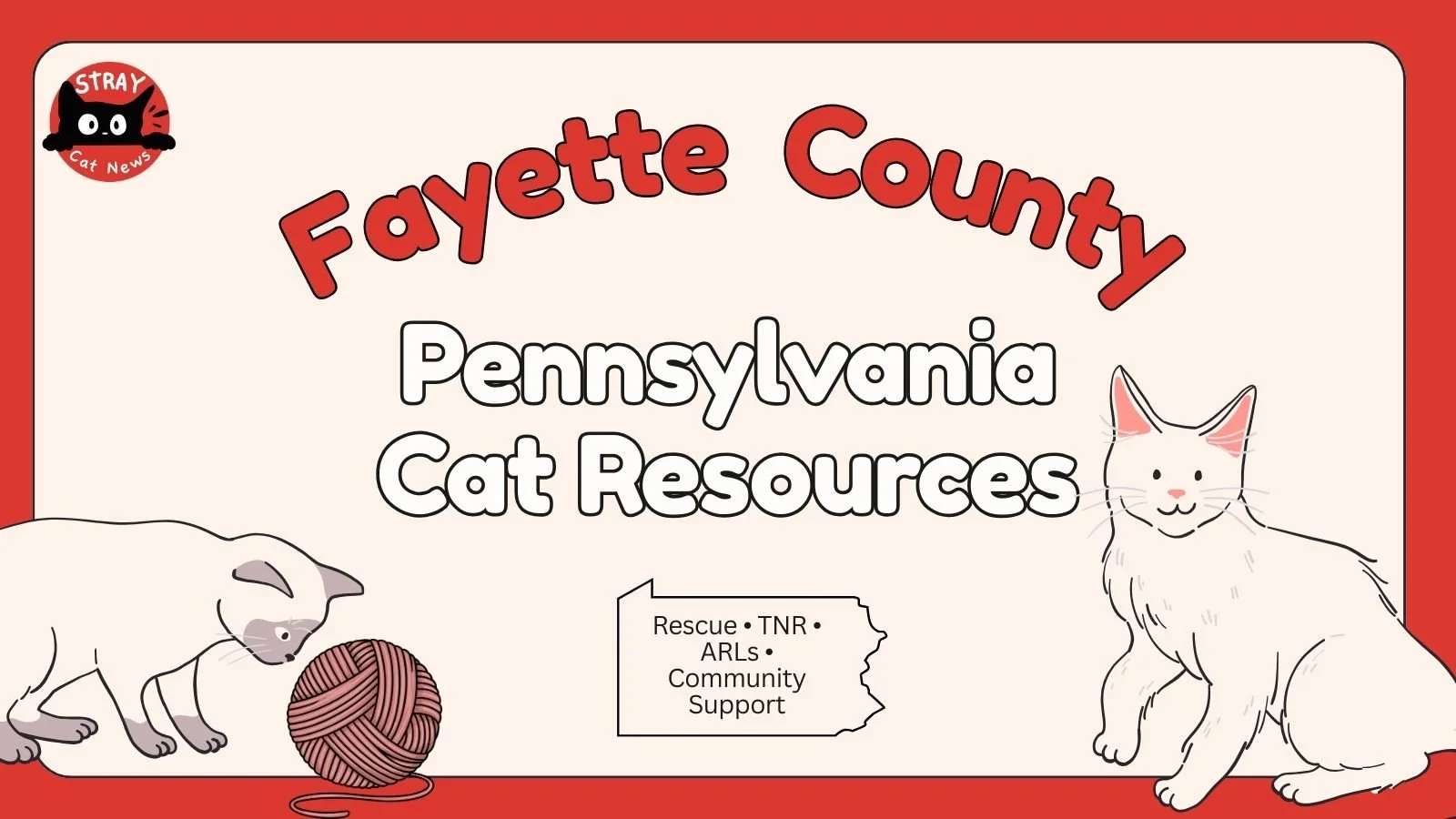 Fayette County Cat Rescues &amp; Animal Welfare Organizations