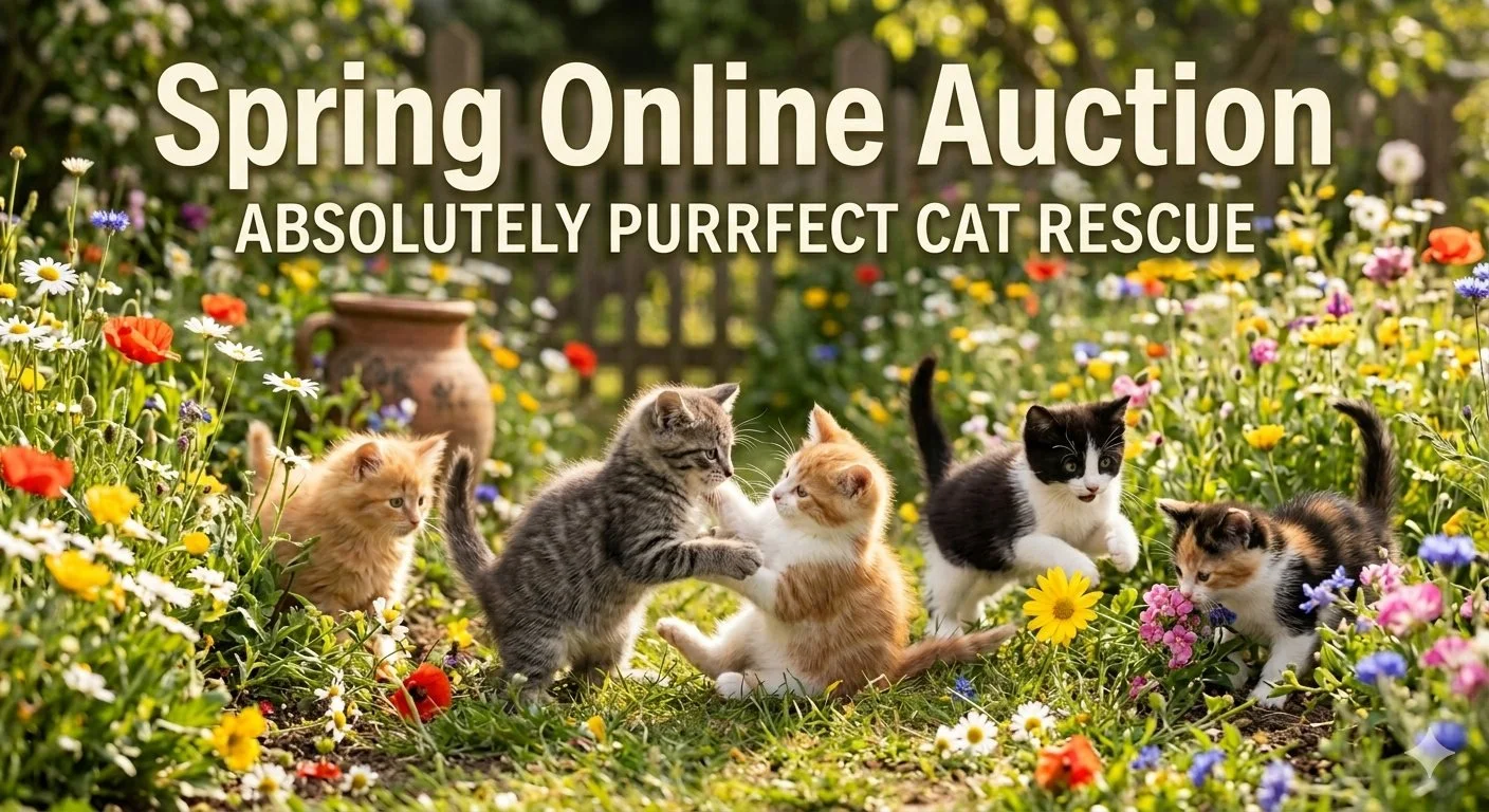 You can help cats this week&hellip; without leaving your couch

No driving. No schedule juggling. Just you, your phone, and a chance to win something while helping cats who truly need it.

🛍️ Spring Online Auction for Absolutely Purrfect Cat Rescue
