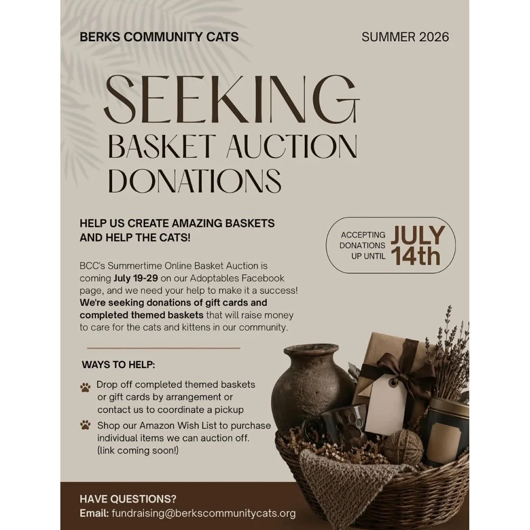 BERKS COUNTY &mdash; 
@berkscommunitycats  is building out their Summer Auction&mdash;and they&rsquo;re looking for donations 👀

(you can see what last year looked like&hellip; it&rsquo;s GOOD)

If you&rsquo;ve been wanting to support local cats in 