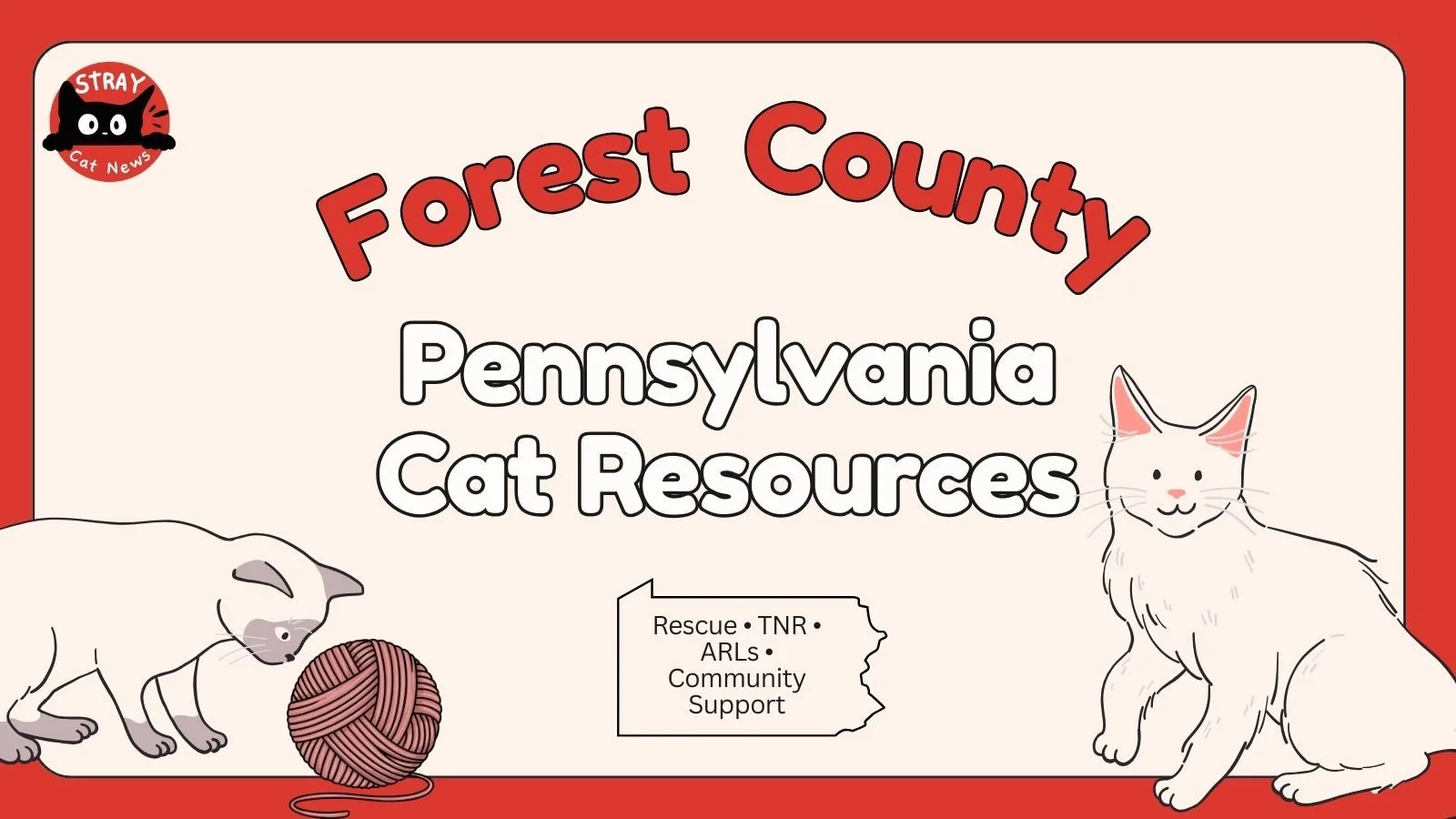 Forest County Pennsylvania cat rescue resources including TNR programs, animal rescue leagues, and community cat support.