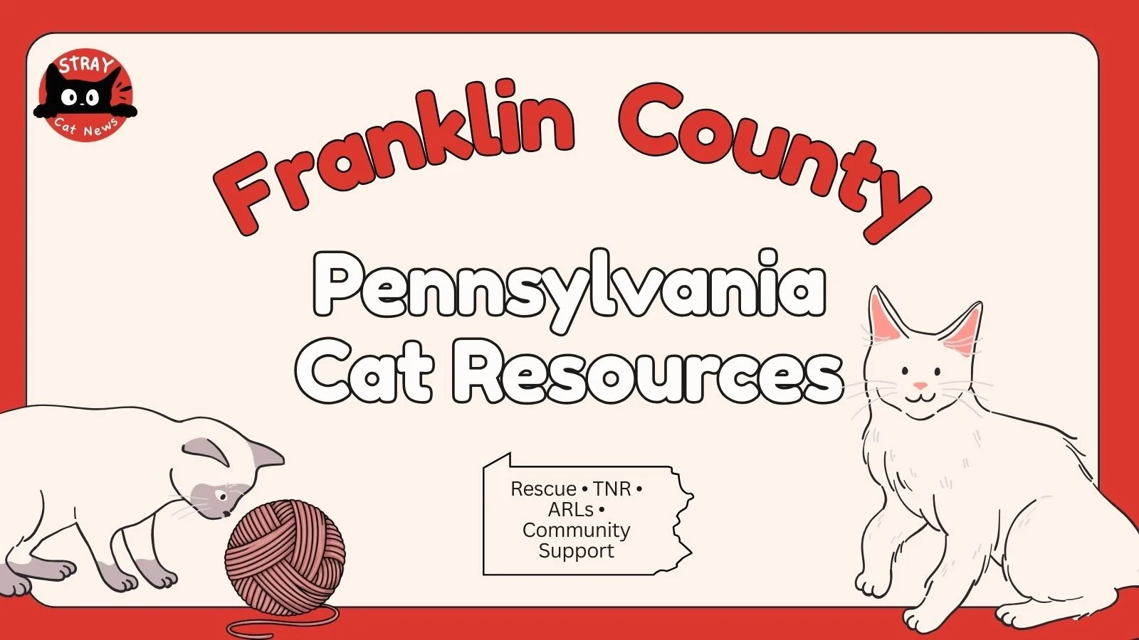 Franklin County Pennsylvania cat rescue resources including TNR programs, animal rescue leagues, and community cat support.