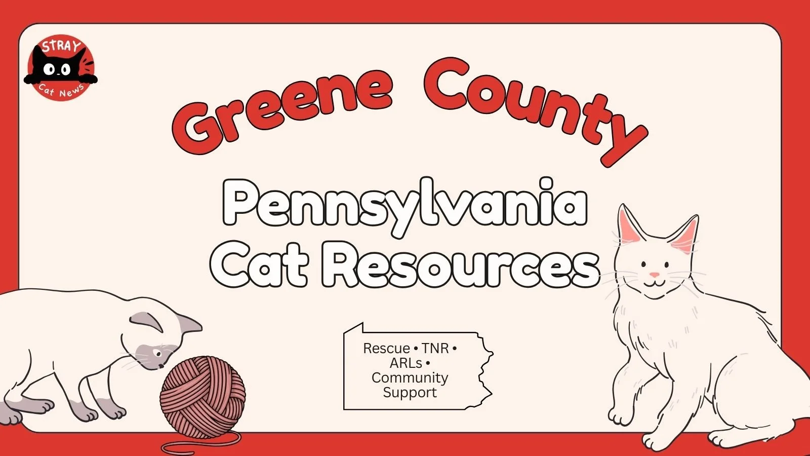 Greene County Pennsylvania cat rescue resources including TNR programs, animal rescue leagues, and community cat support.