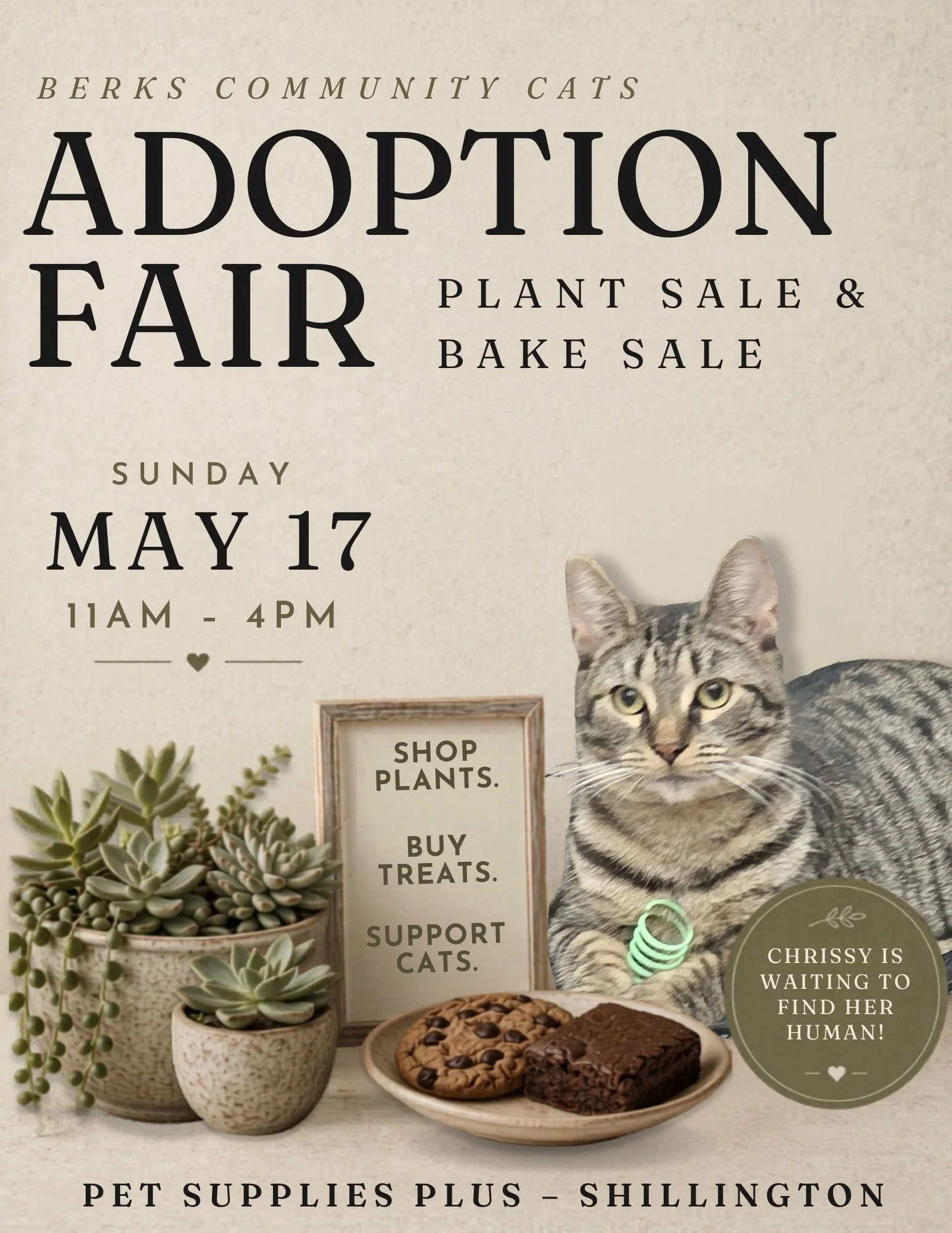🐱🌿 THIS WEEKEND IN SHILLINGTON PA 🌿🐱

Adoptable cats. Homemade baked goods. Plants. Community.

Honestly? That&rsquo;s kind of our perfect Sunday.

Pet Supplies Plus is hosting a Cat Adoption Fair + Plant &amp; Bake Sale with @berkscommunitycats 