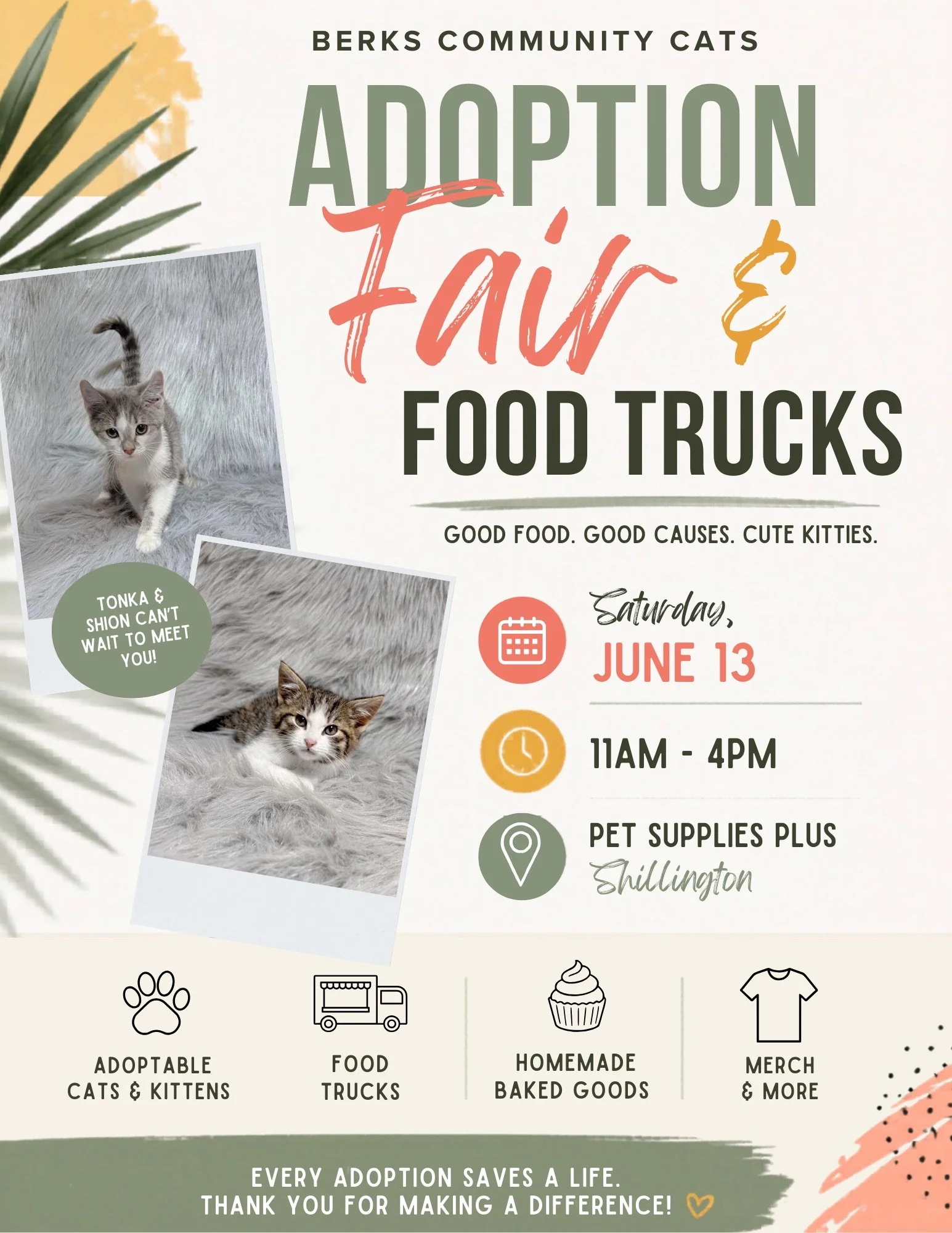 adoption far BVV june.jpg