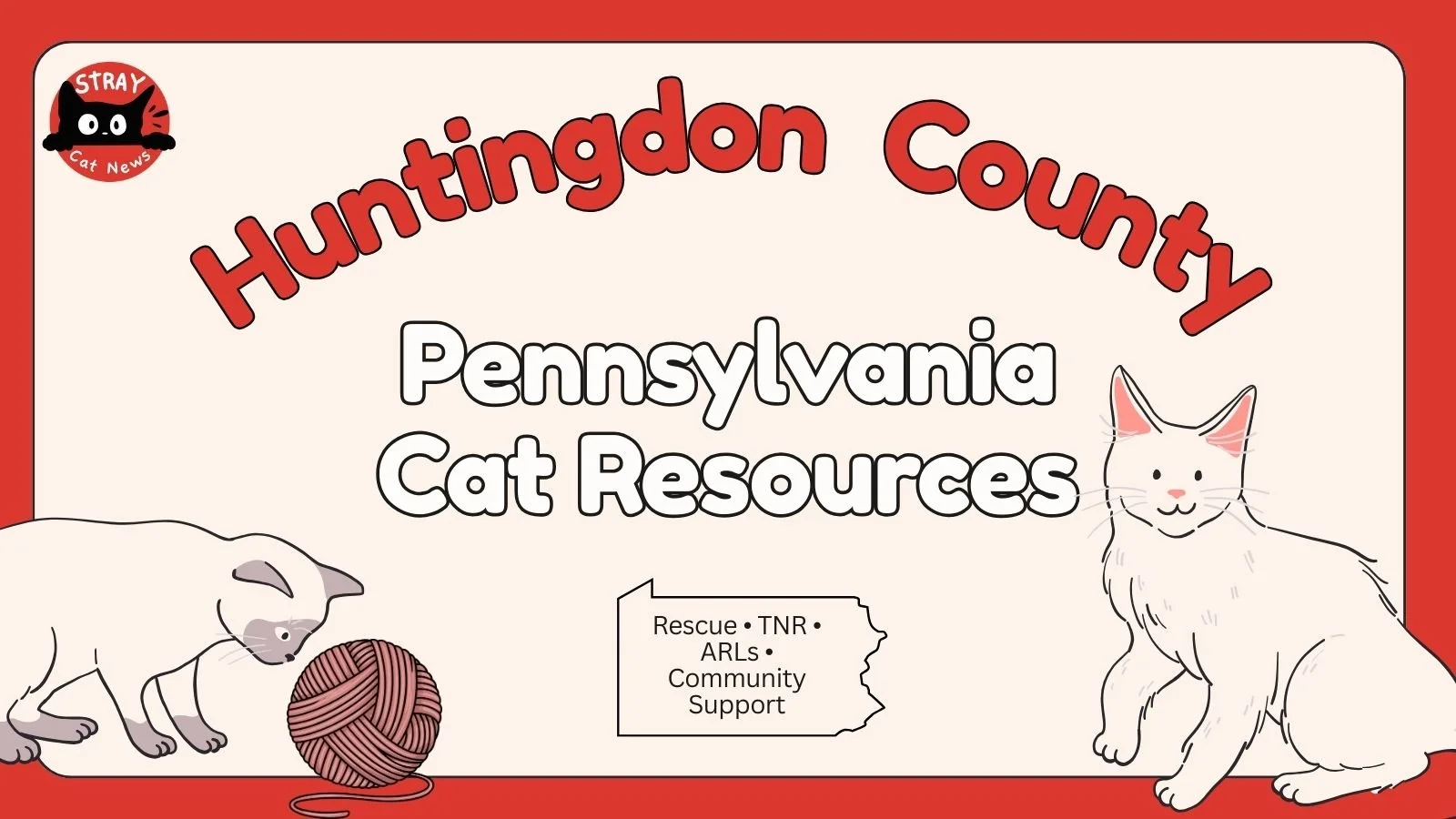 Huntingdon County Pennsylvania cat rescue resources including TNR programs, animal rescue leagues, and community cat support.