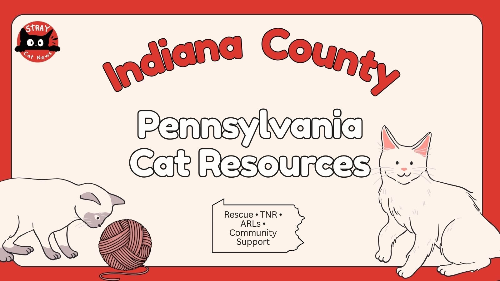 Indiana County Pennsylvania cat rescue resources including TNR programs, animal rescue leagues, and community cat support.