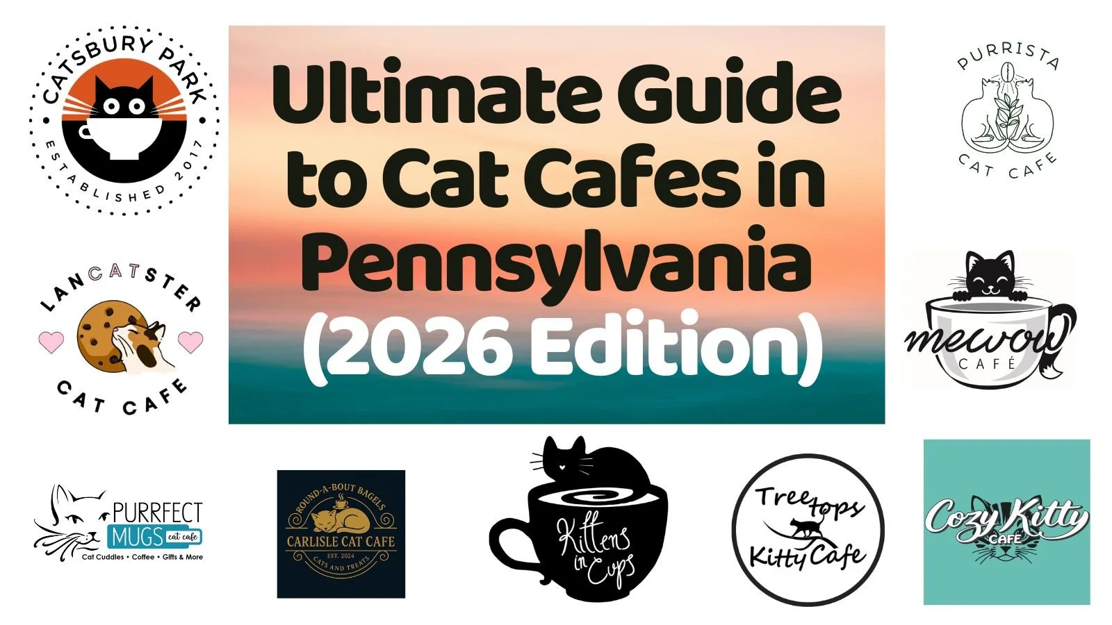 PENNSYLVANIA &mdash; We&rsquo;ve officially reached the point where driving 1.5 hours for a cat caf&eacute; feels completely reasonable.

Our latest feature rounds up some of the cat caf&eacute;s in PA helping shape the state&rsquo;s growing rescue a