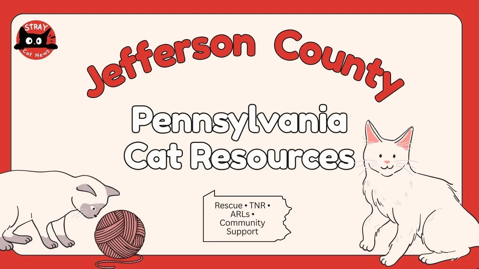 Jefferson County Pennsylvania cat rescue resources including TNR programs, animal rescue leagues, and community cat support.