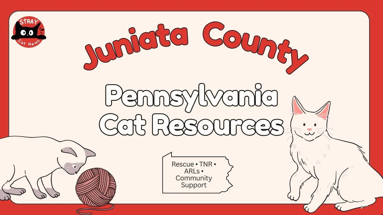 Juniata County Pennsylvania cat rescue resources including TNR programs, animal rescue leagues, and community cat support.