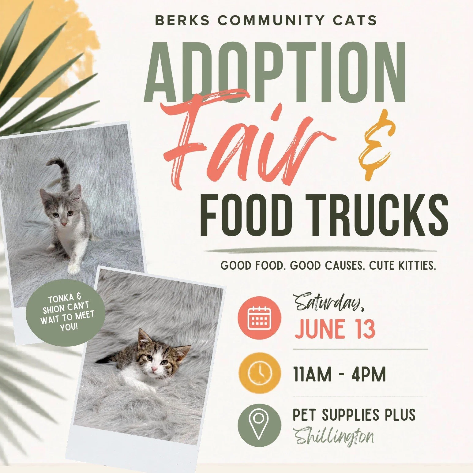 Looking for cat adoption events in Pennsylvania this June?

From @cozykittycafe anniversary celebration to Kitty Purr Con and @berkscommunitycats  adoption fair, rescues across the state are bringing communities together during the busiest part of ki
