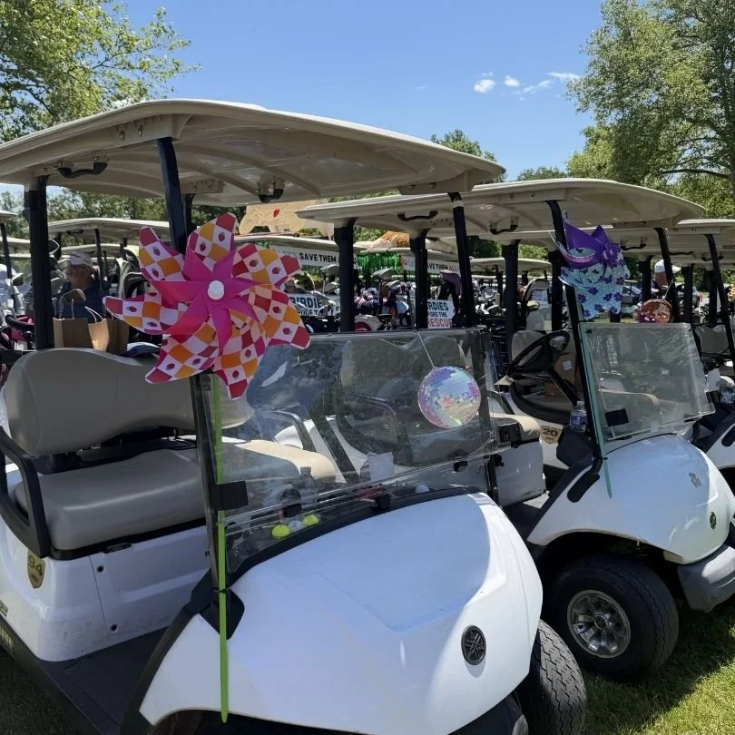Several white golf carts decorated with colorful pinwheels and a unicorn hat, parked outdoors on a sunny day with green trees in the background.