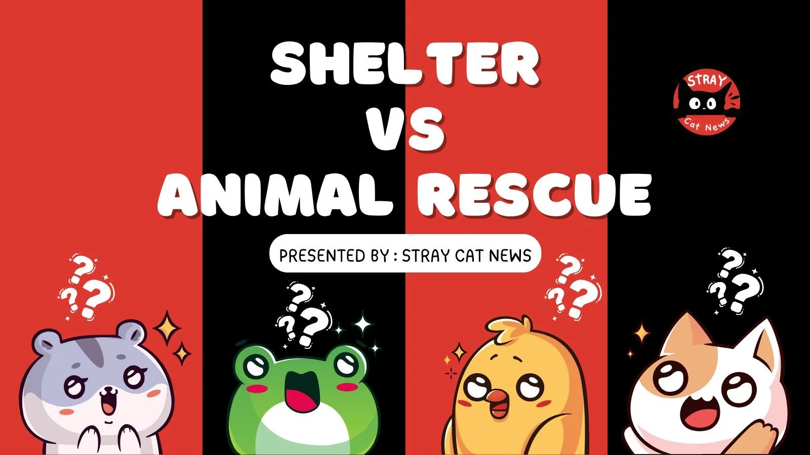 Shelter or rescue? 🐱

It&rsquo;s one of the biggest questions new adopters ask &mdash; especially during Pennsylvania&rsquo;s busiest kitten season months.

Our latest newsroom feature breaks down:
🐾 foster-based rescues
🐾 shelter intake systems
?