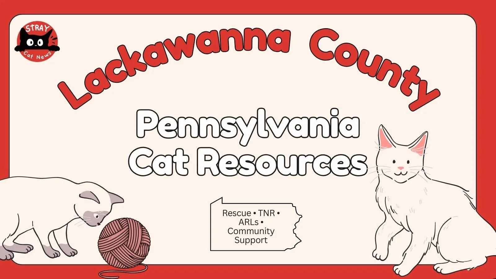 Lackawanna Cat Rescues &amp; Animal Welfare Organizations