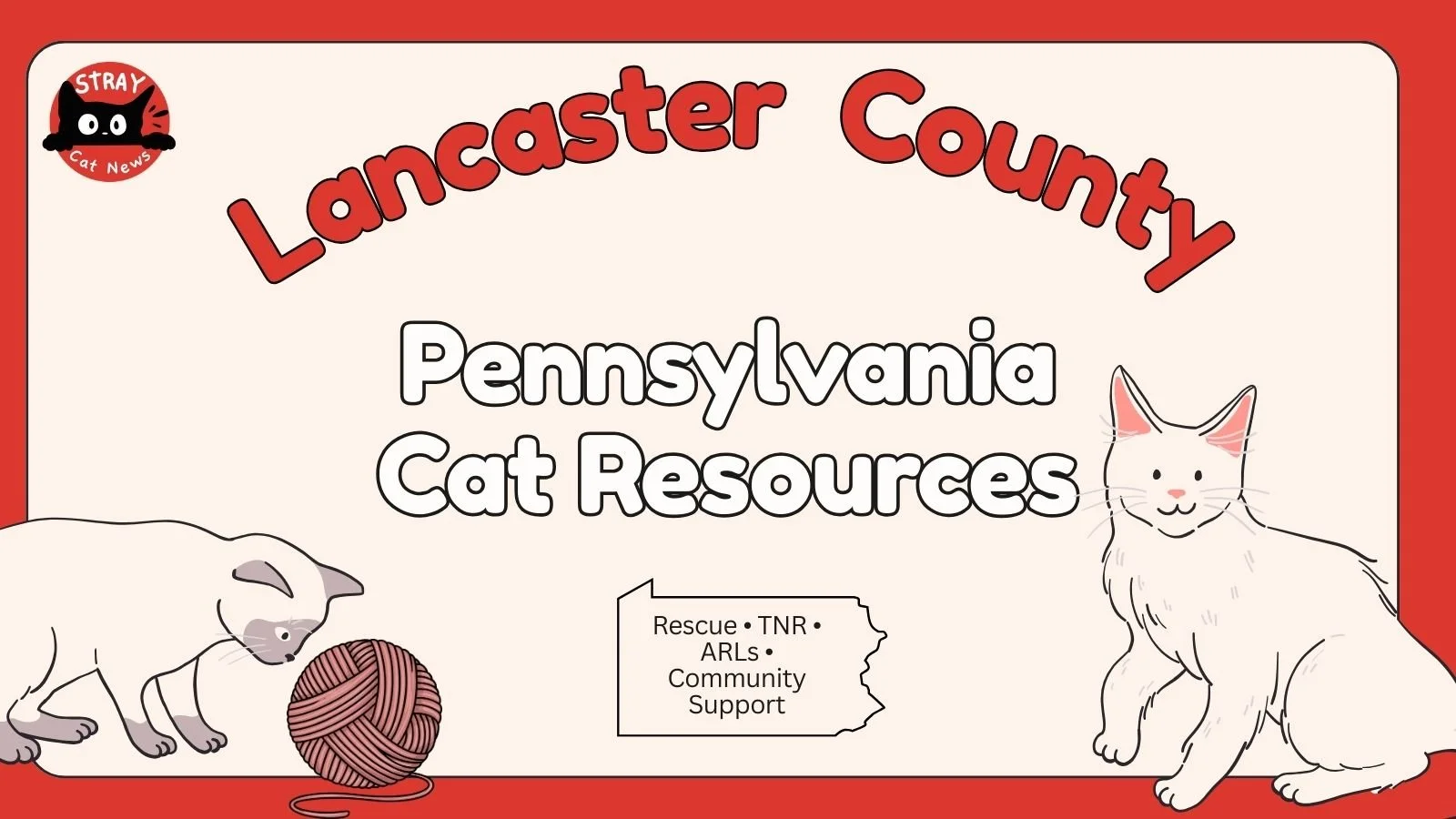 Lancaster County Pennsylvania cat rescue resources including TNR programs, animal rescue leagues, and community cat support.