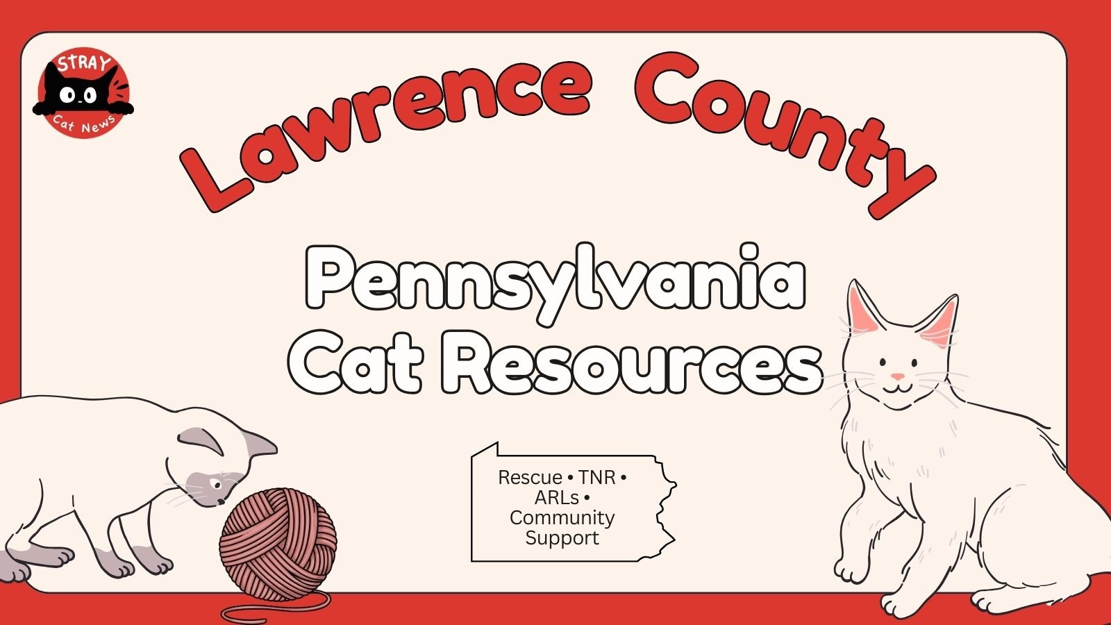 Lawrence County Pennsylvania cat rescue resources including TNR programs, animal rescue leagues, and community cat support.