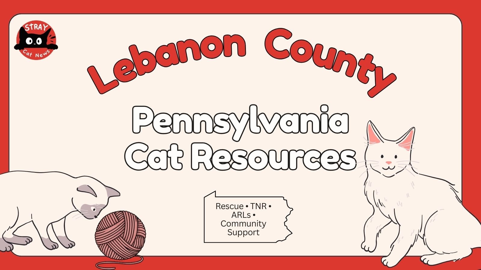 Lebanon County Cat Rescues &amp; Animal Welfare Organizations