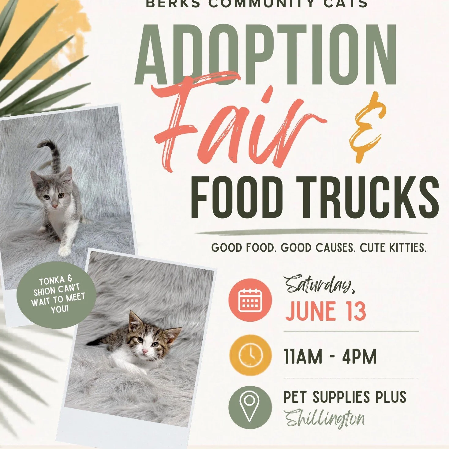 🐱☀️ Food trucks, baked goods, adoptable kittens, and local rescue vibes?
Count us in.

@berkscommunitycats  is hosting an Adoption Fair &amp; Food Truck Event on June 13 in Shillington, bringing together cats, community, and some seriously good reas