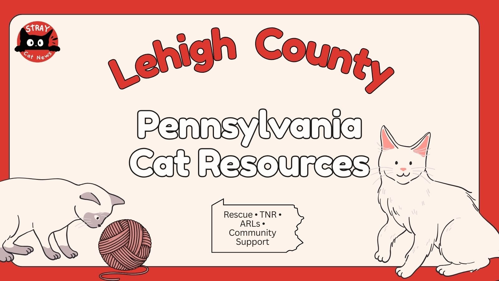 Lehigh County Cat Rescues &amp; Animal Welfare Organizations