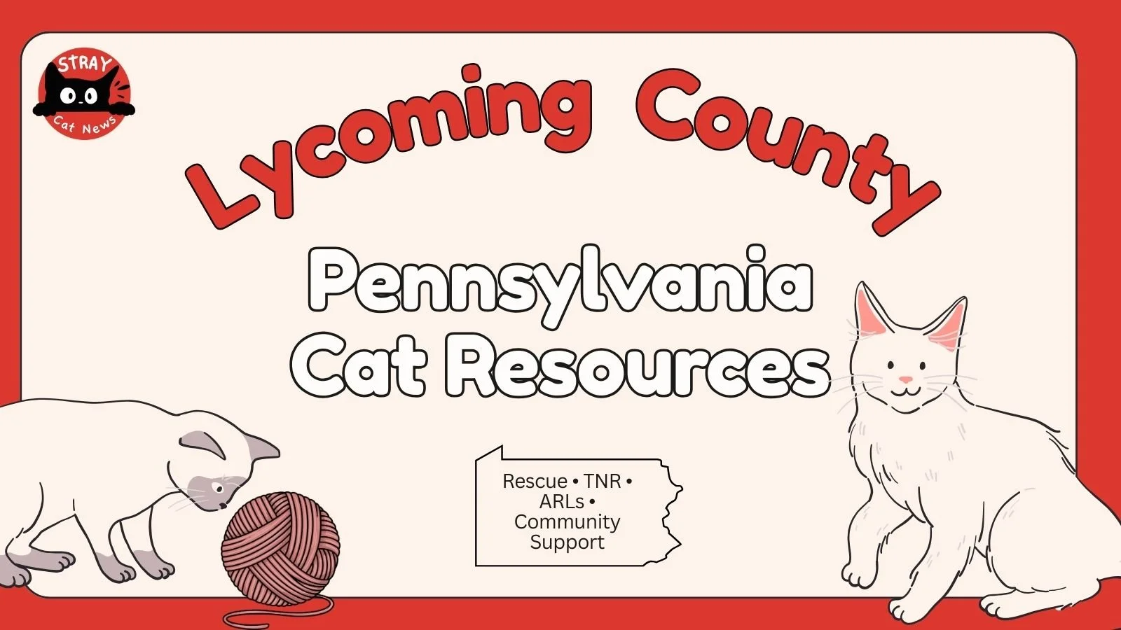 Lycoming County Cat Rescues &amp; Animal Welfare Organizations