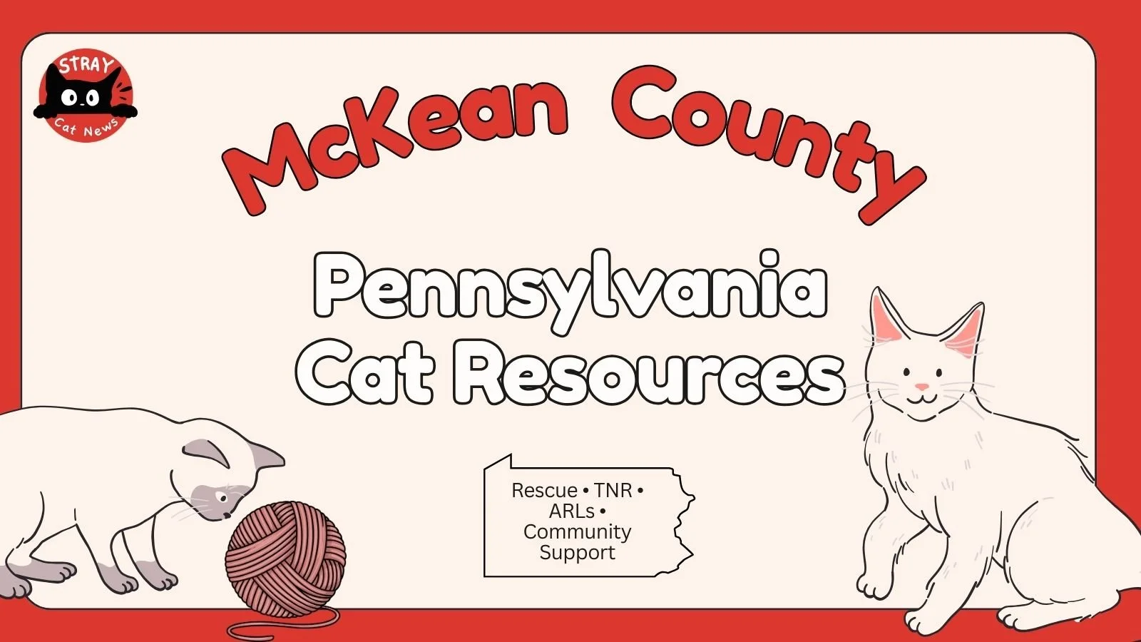 McKean County Pennsylvania cat rescue resources including TNR programs, animal rescue leagues, and community cat support.