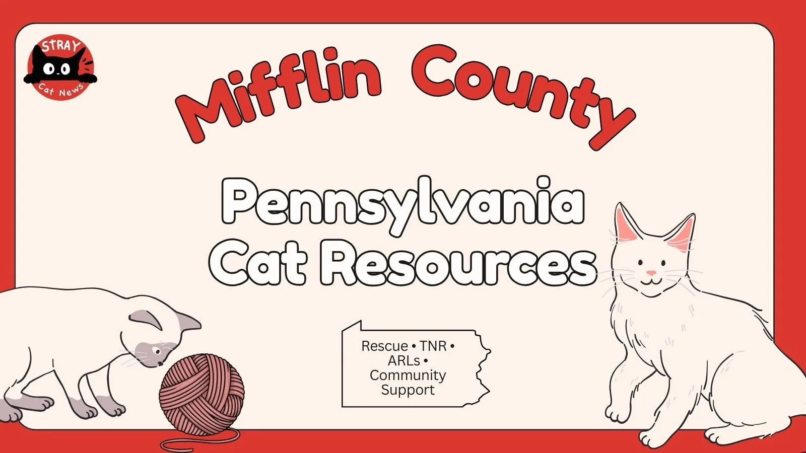 Mifflin County Pennsylvania cat rescue resources including TNR programs, animal rescue leagues, and community cat support.