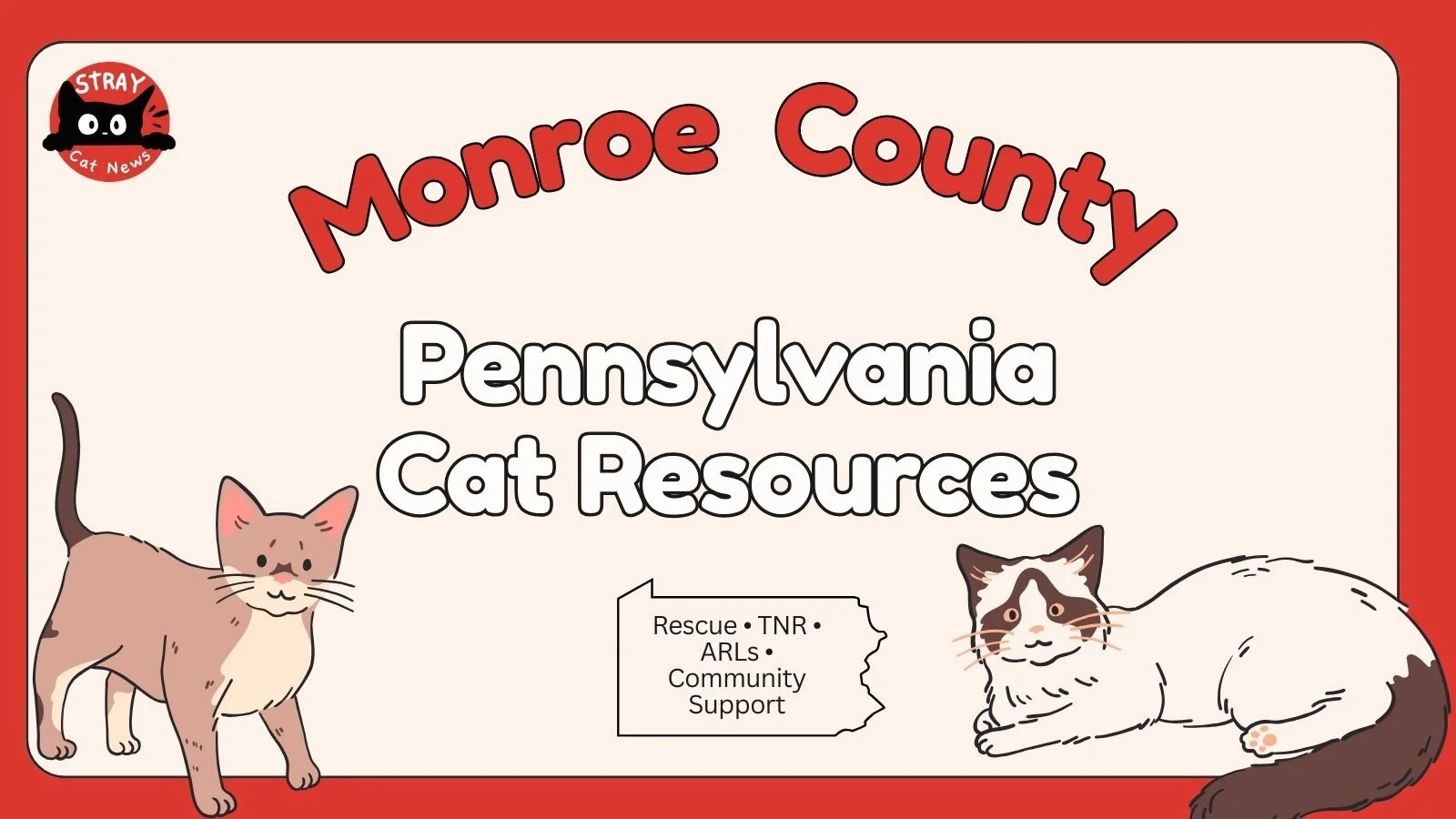 Monroe County Cat Rescues &amp; Animal Welfare Organizations