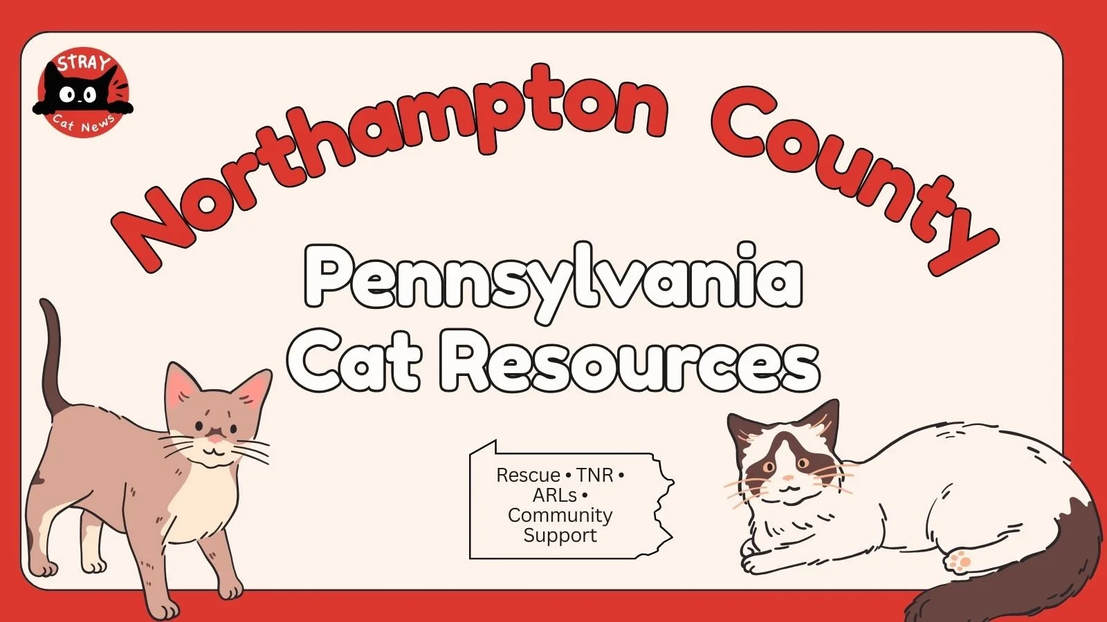 Northampton County Pennsylvania cat rescue resources including TNR programs, animal rescue leagues, and community cat support.