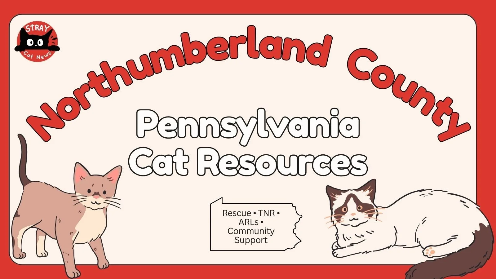 Northumberland County Pennsylvania cat rescue resources including TNR programs, animal rescue leagues, and community cat support.