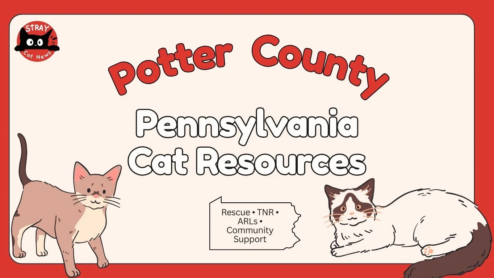 Potter County Pennsylvania cat rescue resources including TNR programs, animal rescue leagues, and community cat support.