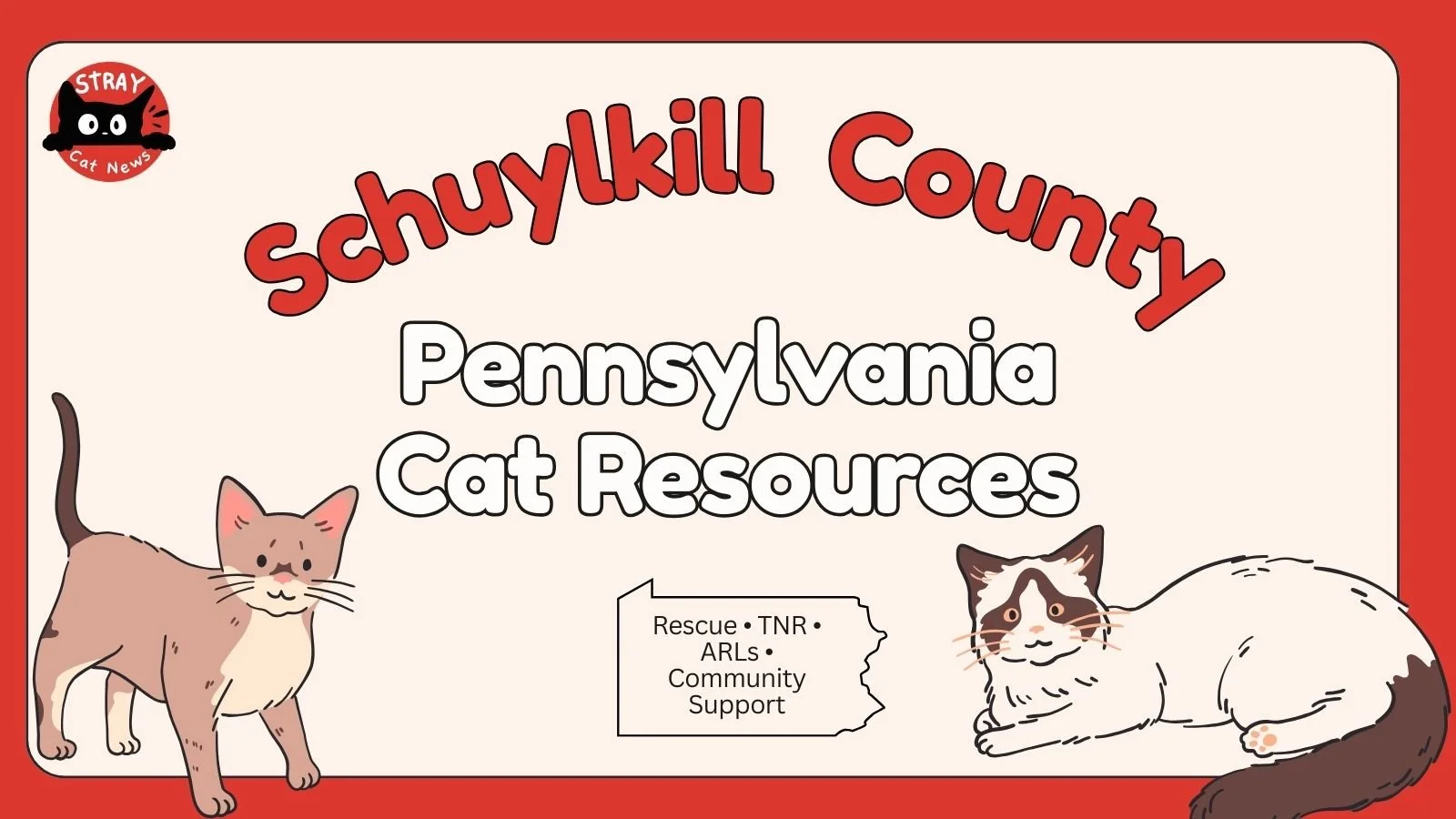 Schuylkill County Pennsylvania cat rescue resources including TNR programs, animal rescue leagues, and community cat support.