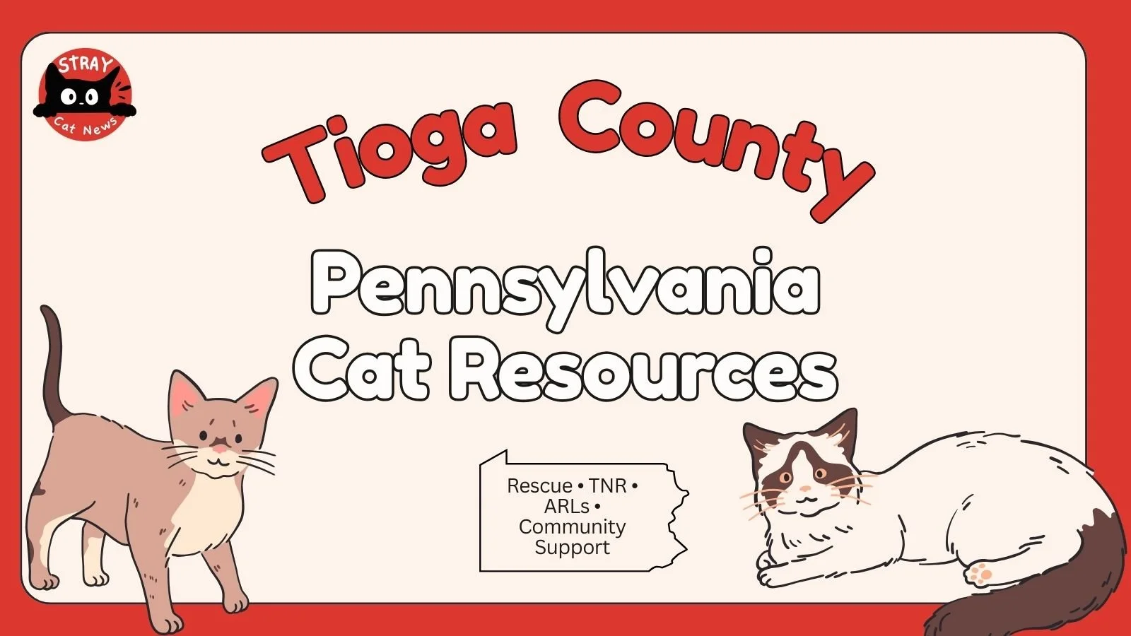 Tioga County Cat Rescues &amp; Animal Welfare Organizations