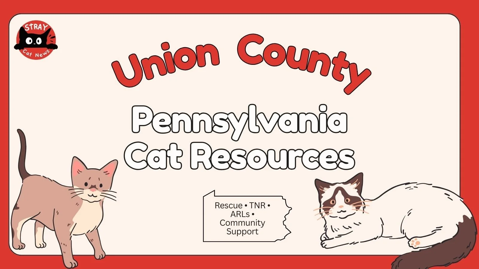 Union County Pennsylvania cat rescue resources including TNR programs, animal rescue leagues, and community cat support.