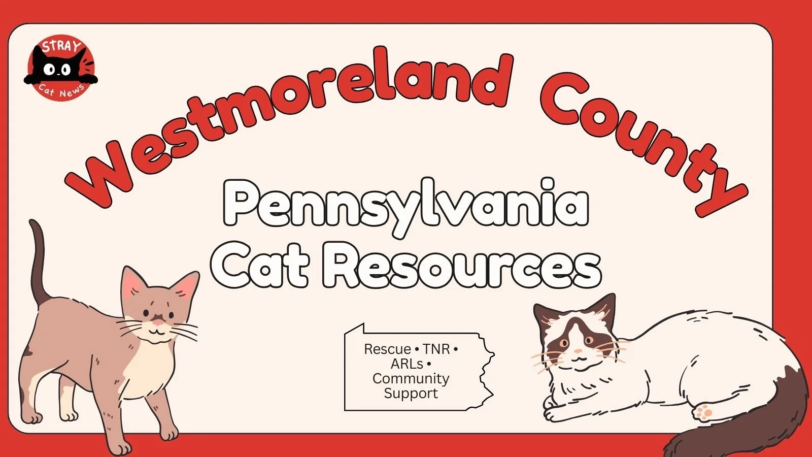 Westmoreland County Pennsylvania cat rescue resources including TNR programs, animal rescue leagues, and community cat support.