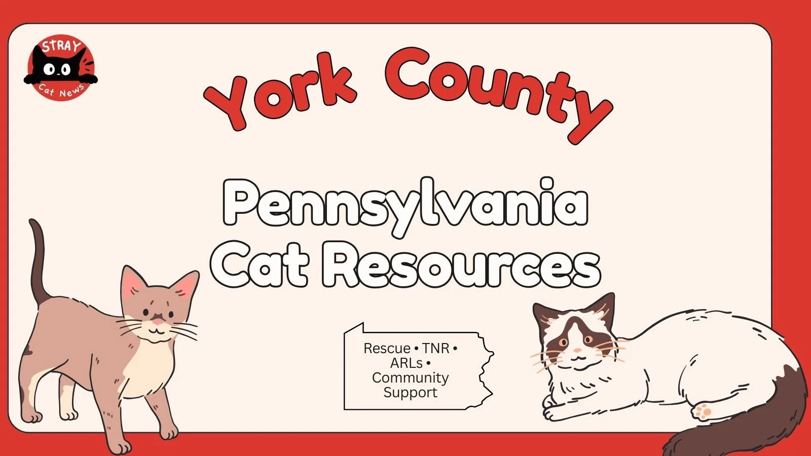 York County Cat Rescues &amp; Animal Welfare Organizations