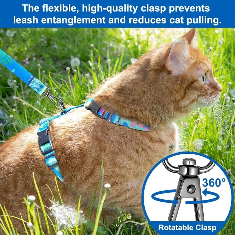 Best Cat Harness 2026 Spring Walk Picks We Trust.jpg