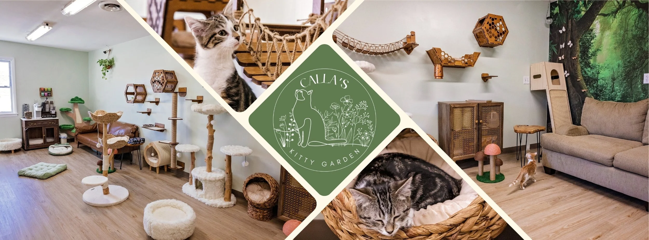 Brown Beige Photo Collage Cat Adoption Centre Facebook Cover (1).jpg