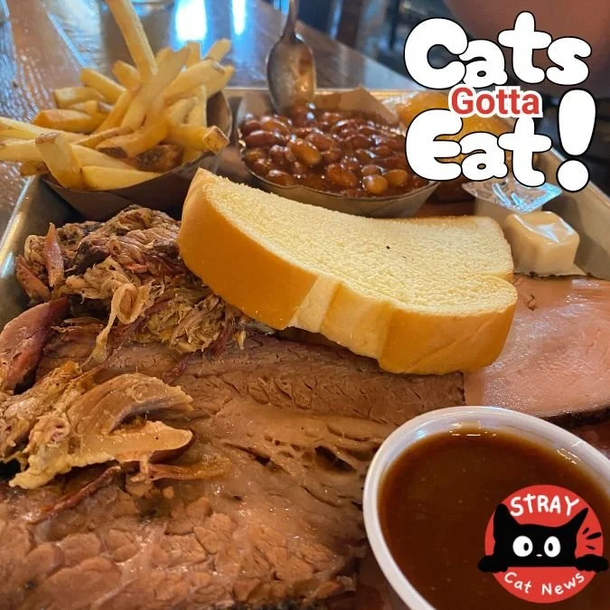 A hearty barbecue tray featuring sliced brisket, pulled pork, a slice of white bread, golden French fries, baked beans, and a cup of barbecue sauce.