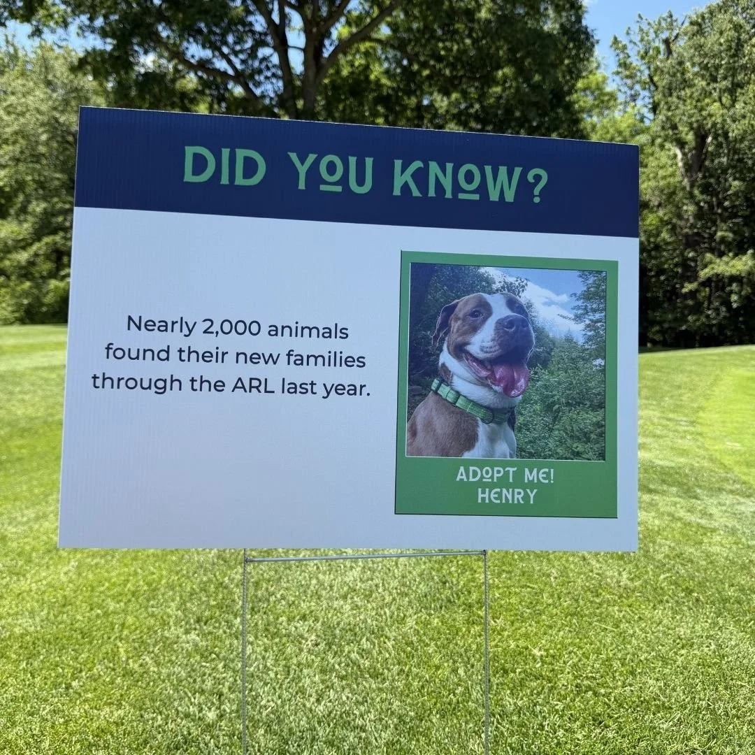 Signboard with a picture of a happy dog named Henry, advertising that nearly 2,000 animals found new families through the ARL last year, outdoors with green grass and trees in the background.