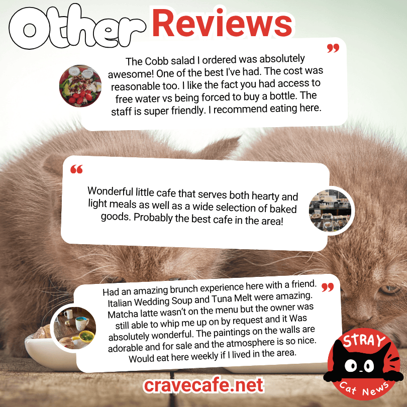 other reviews of crave cafe in berks county pa .png