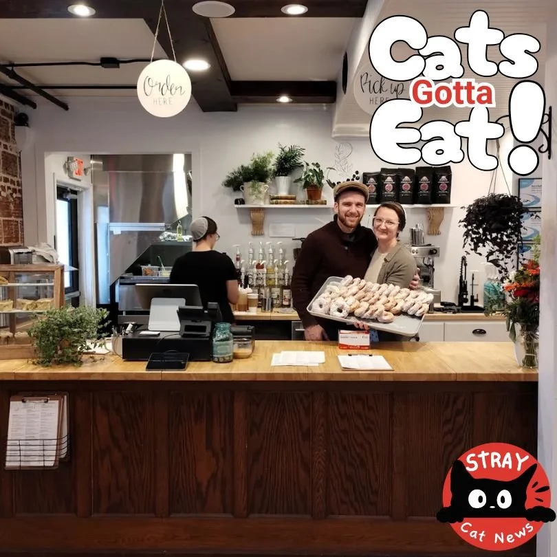 We Sent Our Hoomans to Rooted Grounded Café… and They Came Back Changed