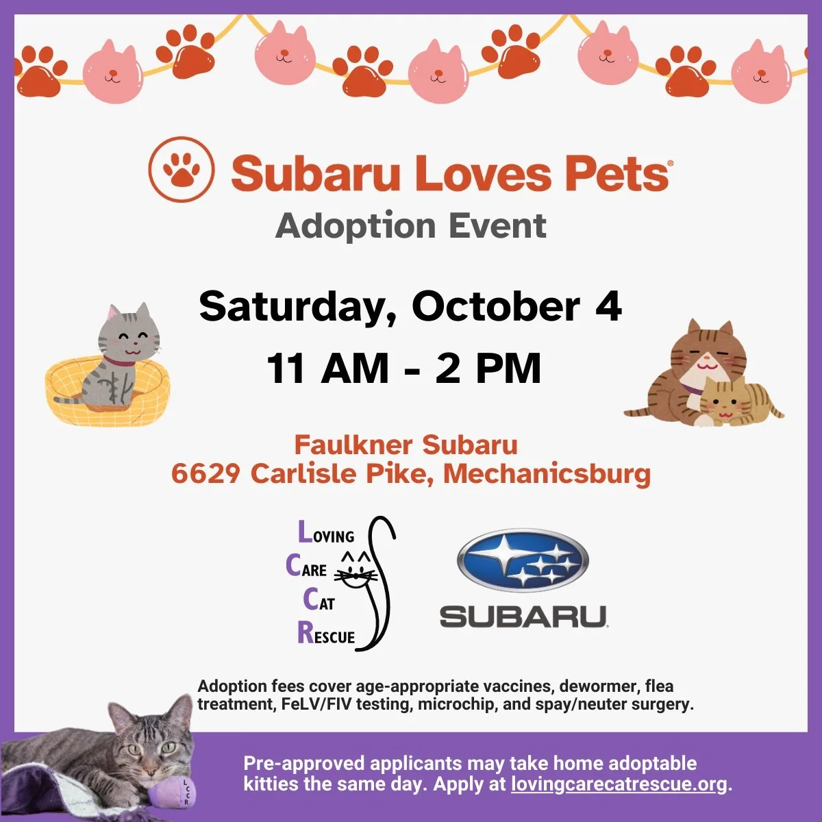 Loving Care Cat Rescue Adoption Event – Faulkner Subaru Mechanicsburg PA