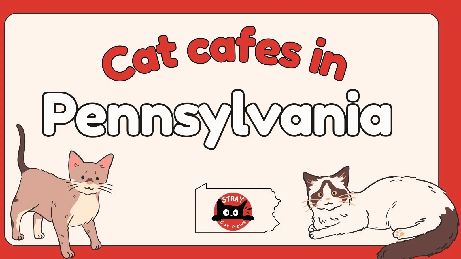 Pennsylvania's Cat Café Scene Is Growing. Here's Where Cat Lovers Are Going.