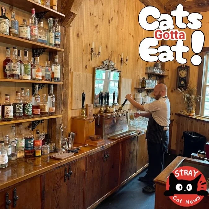 A bearded bartender pouring a drink from a rustic wooden tap wall, surrounded by a wide selection of spirits on wooden shelves in a warmly lit bar room.