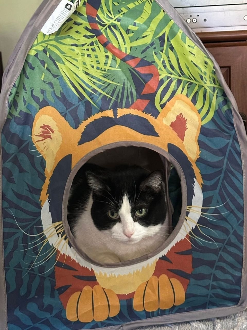 Operation Spay Neuter, Inc. (Butler  Butler County, PA)