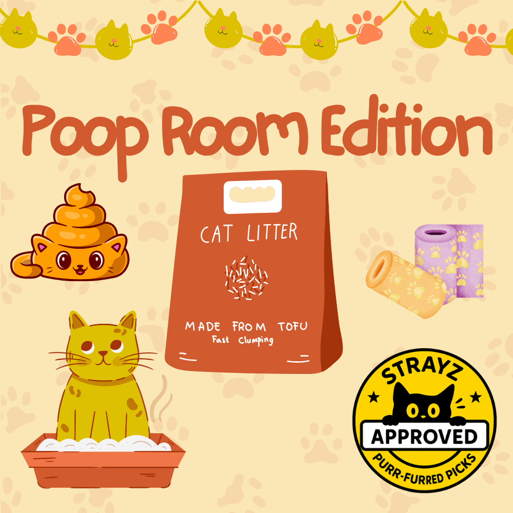 Top Cat Poop Room Must-Haves for Multi-Cat Homes