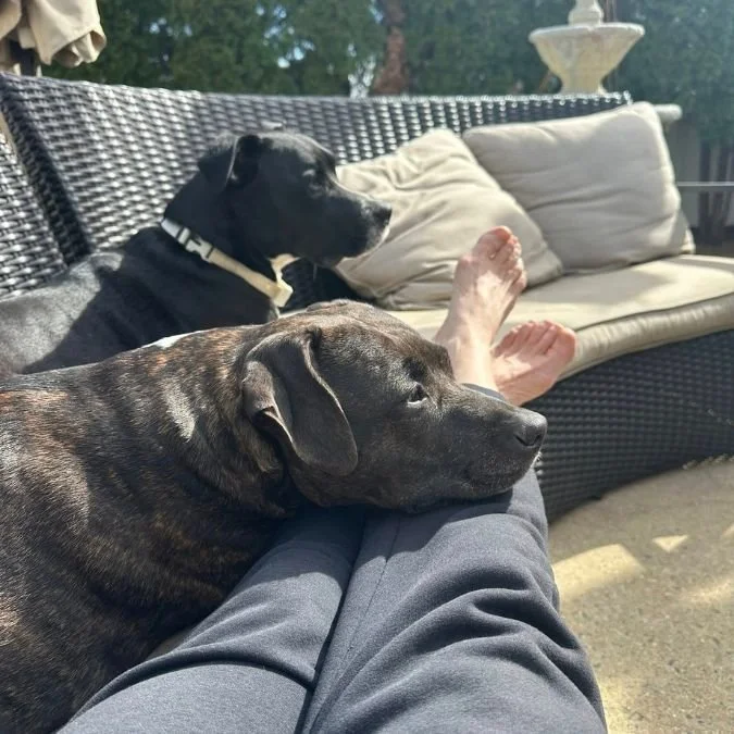 Jacklyn Rusnock State Representative - 126th Legislative District.jpg