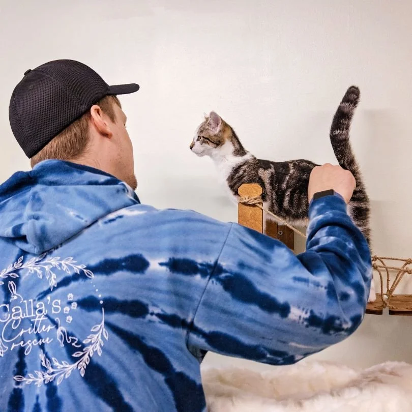 callas critter rescue kitty garden Pottstown -2.jpg