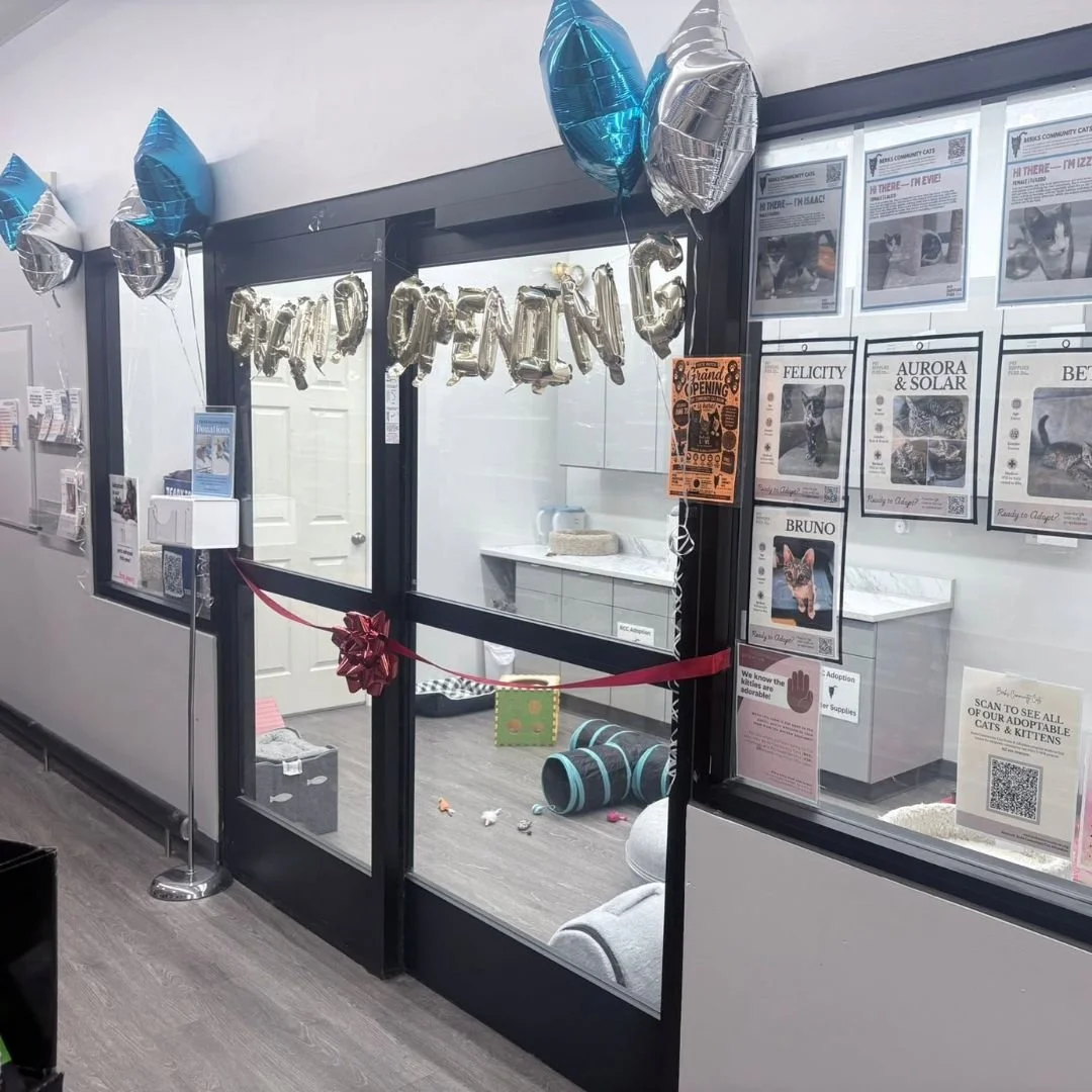 Community Donations Help Create Permanent Cat Adoption Room in Shillington, PA