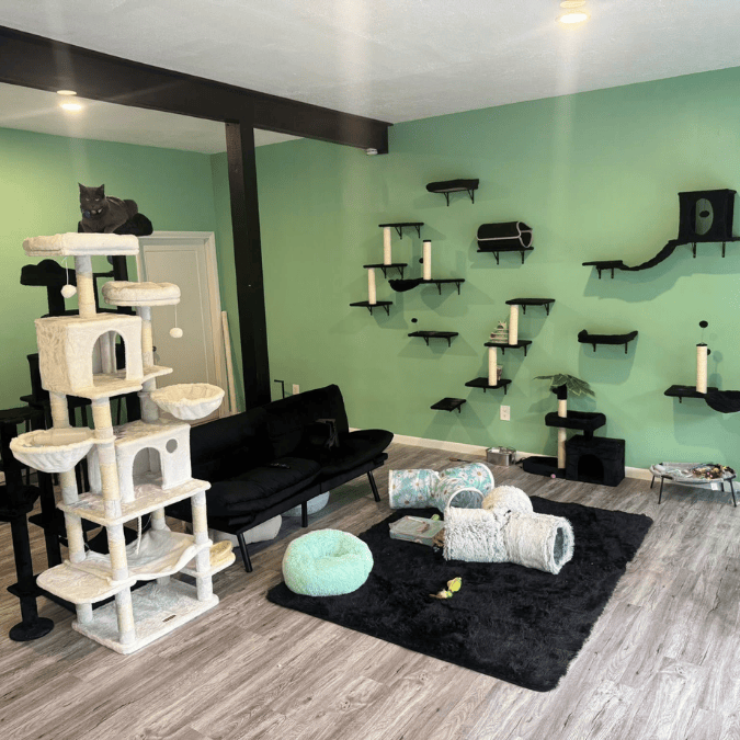 Stroudsburg, PA  Cozy Kitty Café.png