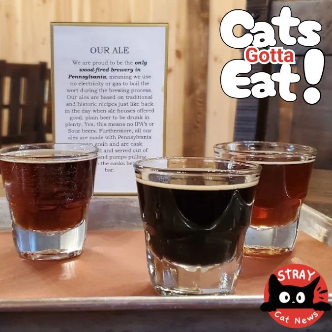 A flight of three dark ales served in small glasses on a tray, with a sign in the background explaining this wood-fired brewery's historic brewing process in Pennsylvania.